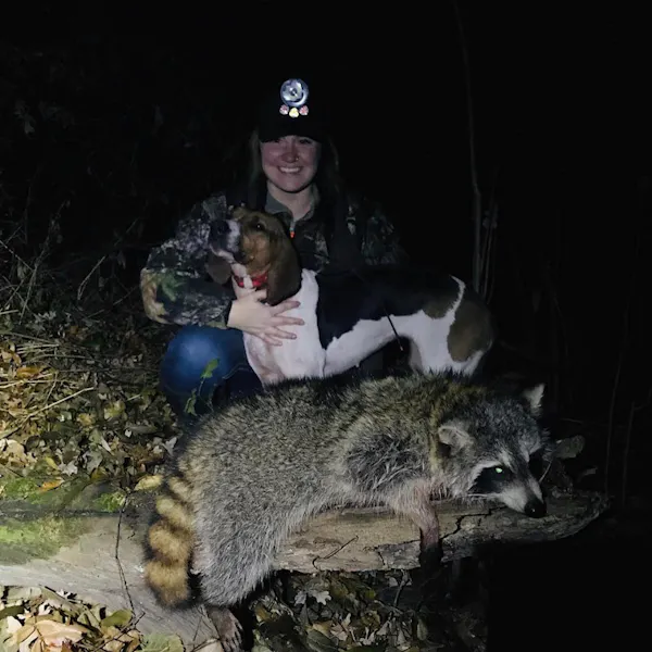3 Reasons To Raccoon Hunt | A Beginner’s Guide to Hunting Raccoons with Hounds