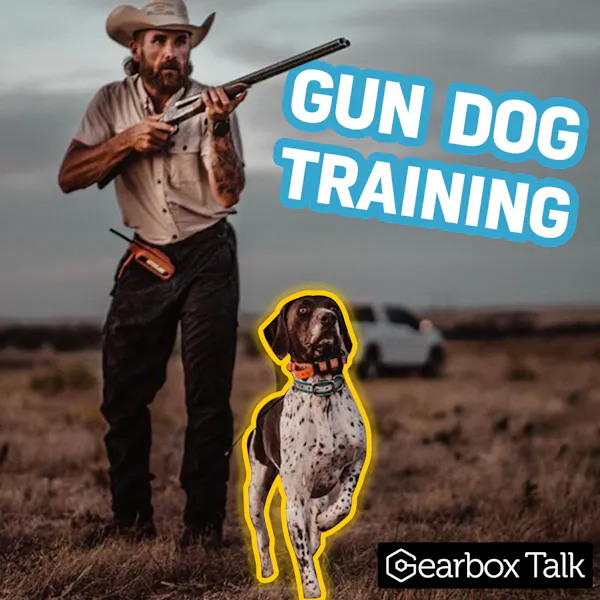 Anthony Ferro: Hunting Dog Training Secrets & Gear