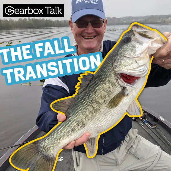 Steven Taylor: Bass Fishing The Fall Transition