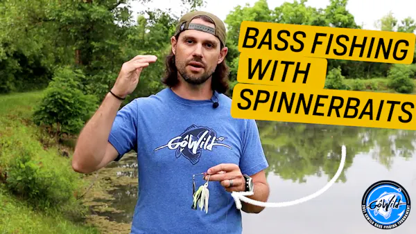 Bass Fishing with Spinnerbait: Presentation & Retrieval Tips