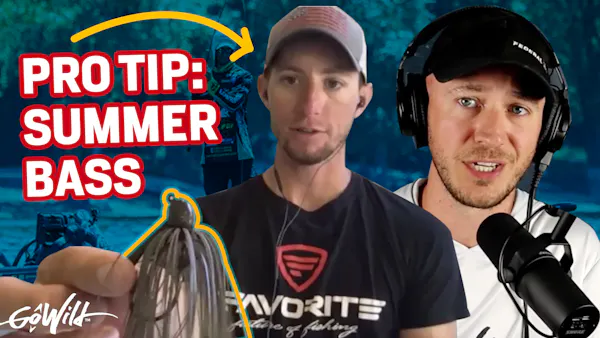 A Pros Tips for Summer Bass Fishing