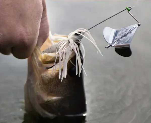The 3 Hottest Topwater Summer Bass Fishing Lures | Catch Big Summer Bass With Topwater Lures