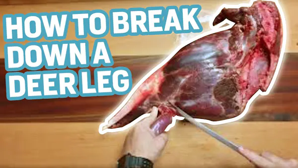 VIDEO: How to Remove the Hidden Tenderloin from a Deer Leg