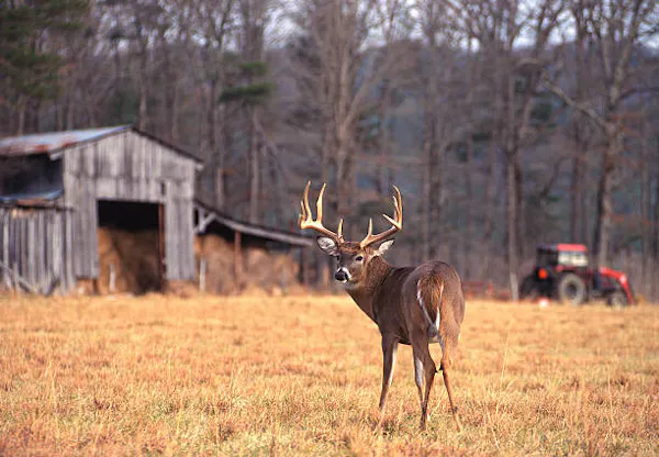The Essential Deer Hunting Gear List | Bare Bones, Gotta Have It