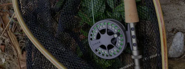 The GoWild Guide to Basic Fly Fishing Gear