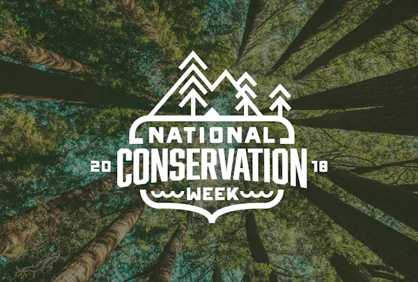 Houston Safari Club Foundation & GoWild Announce National Conservation Week