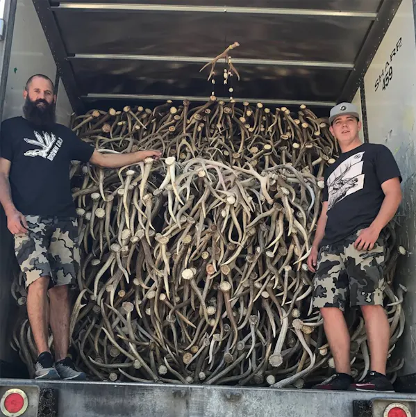 Q&A: Shed Hunting Tips from the Legend, Steve Sorensen