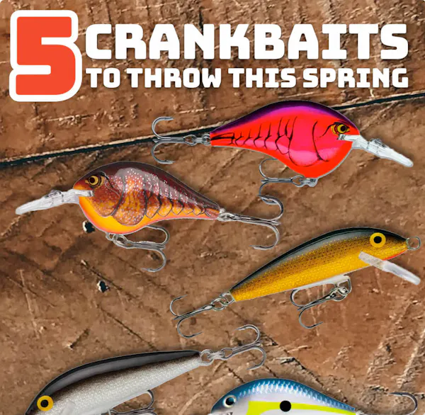 Top 5 Spring Crankbait Bass Fishing Favorites