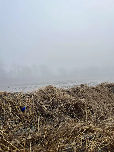 The Fog – A Southern Waterfowlers Guide to Weather Conditions