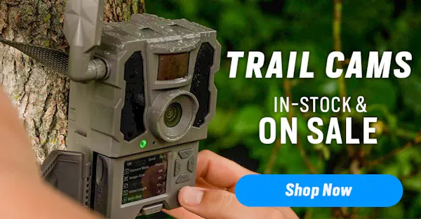Trail Camera Sale