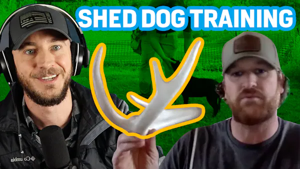 Shed Dog Training | Everything You Do & Don’t Need (2021)