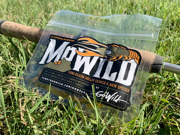 Introducing MoWild by GoWild: A New Crawfish Species