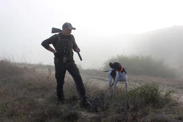 Setting Realistic Expectations For Your Gun Dog