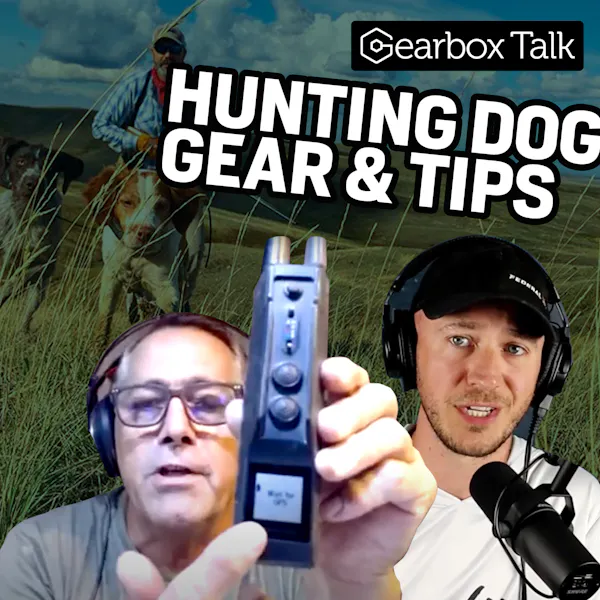 Hunting Dog Tips & Gear