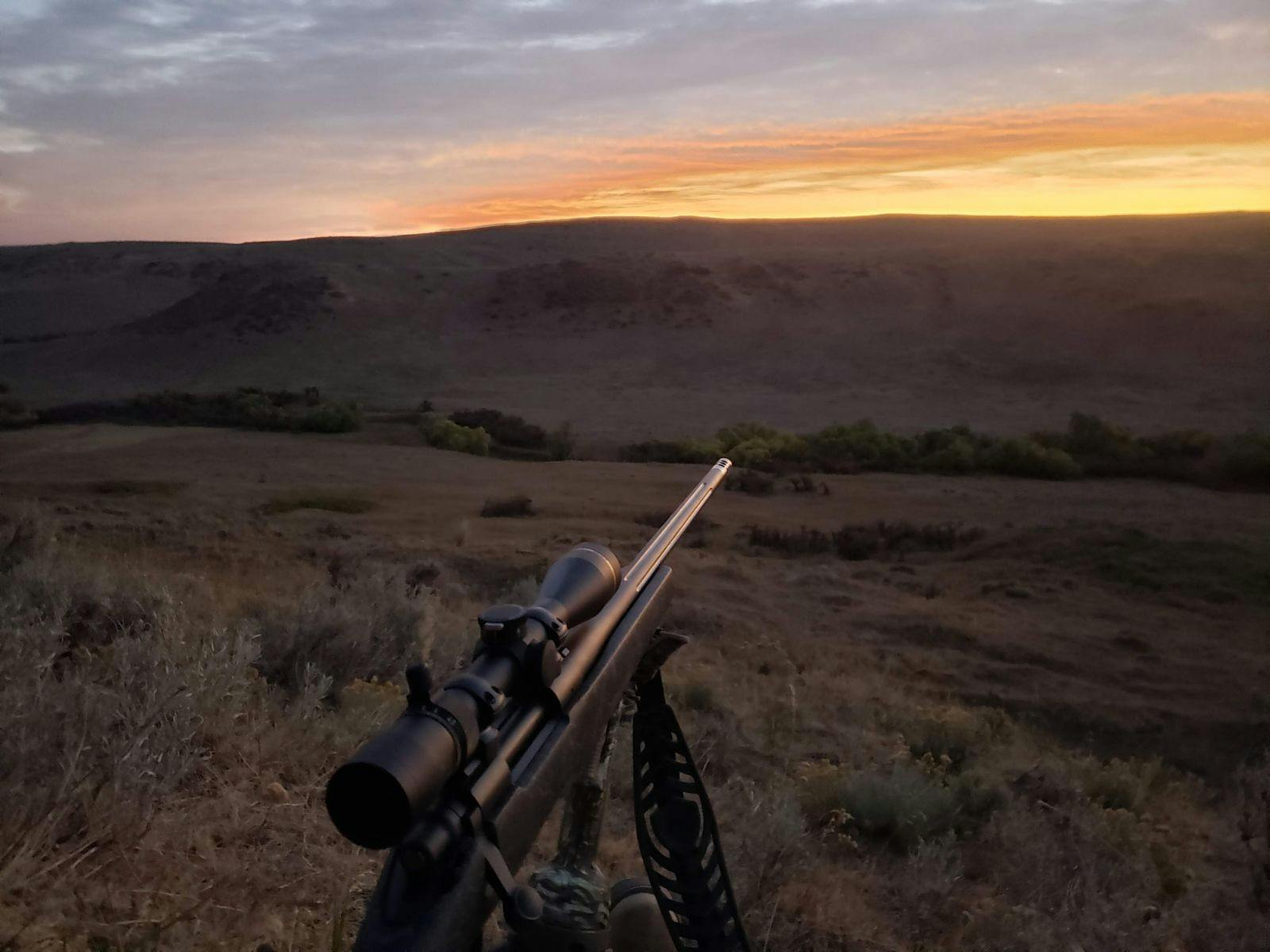 Deer Hunting Rifle