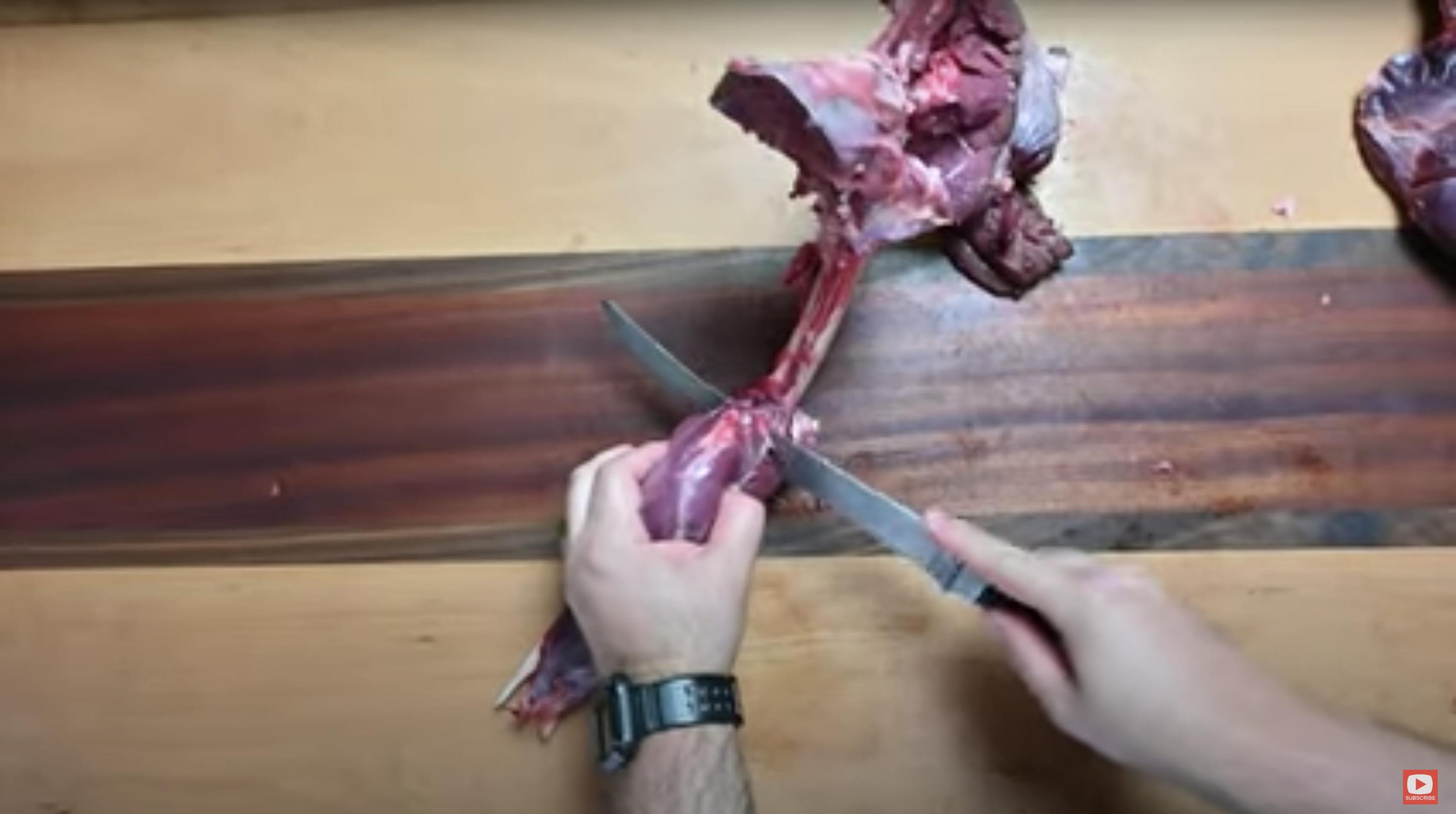 How to Remove Venison Shank