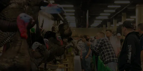 Giveaway: Two NWTF Memberships and Tickets to the NWTF Sport Show in Nashville!