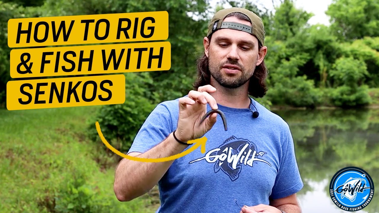 Bass Fishing with Senkos: Tips for Rigging & Retrieval